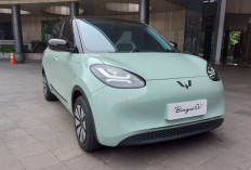 Daftar Harga Terbaru Wuling BinguoEV Maret 2026, Jarak Tempuh hingga 410 Km