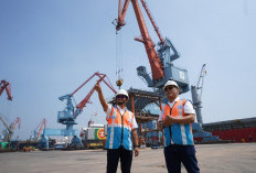 Kinerja Tumbuh, PTP Nonpetikemas Optimalkan Operasional Pelabuhan di Seluruh Indonesia