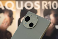 Sharp AQUOS R10 Dirilis, Smartphone Flagship dengan Layar 6,68 inci Pro IGZO OLED dan Memori Up To 1 TB