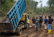 Langkah Tegas PTBA Berantas Penambang PETI