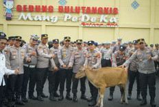 Mengabdi 36 Tahun, Polres OKI Berikan Seekor Sapi ke Personel yang Pensiun