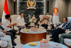 Ratu Dewa Dapat Lampu Hijau dari Dasco untuk Percepatan Pembangunan Palembang