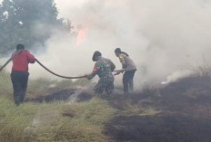 Lahan Semi Gambut Seluas 15 Hektare di Ogan Ilir Terbakar, Tim Gabungan Perkuat Pemadaman