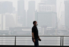 Pejabat Tinggi Singapura Panggil 8 Bos Sawit RI Imbas Karhutla, Bagaimana dengan Indonesia?