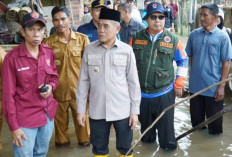 Wabup Ogan Ilir Tinjau dan Salurkan Bantuan Korban Banjir di Desa Kayu Ara Rambang Kuang