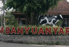 Intip Kisah Desa Banyuanyar, Desa Ramah Lingkungan yang Terus Maju Lewat Pemberdayaan Desa BRILiaN 