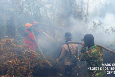 Satgas Karhutla Masih di Lokasi Lakukan Pemadaman dan Pengecekan Meskipun Hujan telah Turun di OKI