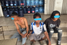 Preman Macan Lindungan Digaruk, Polda Sumsel Gerak Cepat di Hari Pertama Ops Sikat Musi I