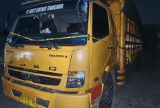 Polda Sumsel Gagalkan Pengiriman 80 Ton Batubara Ilegal, Dua Sopir Tronton Diamankan