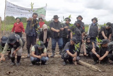 Komitmen Pelestarian Alam, SKK Migas-KKKS Sumsel Gandeng Wartawan Tanam Bibit Mangrove di Sungsang