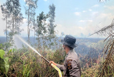 Tim Gabungan Operasi Aman Nusa II Tangani Karhutla di Sungai Menang