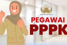 Berapa Gaji PPPK Paruh Waktu Seluruh Indonesia! Paling Besar di Provinsi Ini