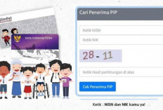 Cair Bulan Mei 2026, Ini Cara Cek PIP 2026 Termin 2 Lewat HP