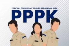 BKN Ungkap 130 Ribu Formasi PPPK 2024 Kosong, Pengangkatan Paruh Waktu Berjalan