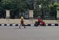 Pengendara Resah ODGJ di Palembang Berkeliaran Bawa Kayu Pecahkan Fasilitas Mall