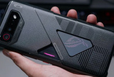 Berikut HP Gaming Terbaik 2026 Bisa Dipilih Diantaranya ASUS ROG Phone 8 Pro