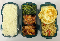 Resep Menu Bekal Kantor Praktis Mudah Dimasak: Dijamin Anti Ribet dan Sat Set