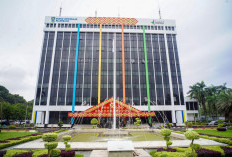 Blak-blakan! Komisaris Utama PT Pusri Palembang Ungkap Soal Proyek Pabrik III B