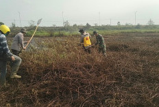 Karhutla 6 Hektar di Desa Batun Baru Jejawi OKI Berhasil Dipadamkan Babinsa dan Tim Gabungan 