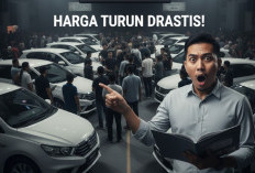 IIMS 2026 Resmi Ditutup, Ini Daftar Balai Lelang di Jakarta yang Jual Mobil Eks Display 