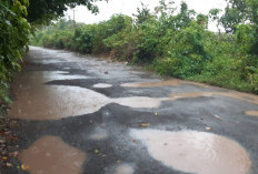 Jalan Akses Tanjung Batu-Burai Ogan Ilir Alami Kerusakan, Dinas PUPR Bakal Segera Lakukan Perbaikan