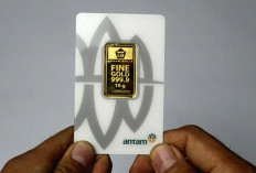 Update Harga Emas Antam Hari Ini 24 Juni 2026: Buyback Anjlok Lebih Dalam