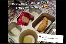Foto Miris MBG di Akun Ini Gercep Direspon Gerindra, Emak-emak Ramai Kirim Foto