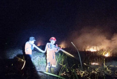 65 Hektare Lebih Lahan di Ogan Ilir Terbakar, Ada di Areal PTPN 7 dan PT Buyung
