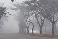 Kualitas Udara Palembang Masih Memburuk, Musi 2 dan Talang Betutu Masuk Kategori Berbahaya