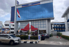 Dorong Pelaku UMKM dan Kemajuan Ekonomi, BRI Region 4 Palembang Salurkan KUR Rp 6,9 T Per Oktober 20245