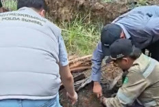 Polda Sumsel Gandeng Ahli IPB Usut Karhutla di Lahan HGU Ogan Ilir, Sampel Tanah Diuji Laboratorium