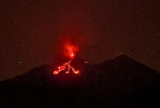 Gunung Karangetang Erupsi, Guguran Lava Mencapai 1,5 km