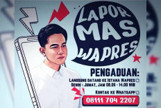 Terungkap Pembatalan Calon PPPK di Muara Enim Usai Ada Laporan Masuk ke Wapres  