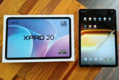 Infinix Xpad 20: Tablet Tampilan yang Tajam dan Detail dengan   Layar IPS LCD! Ini Spesifikasinya