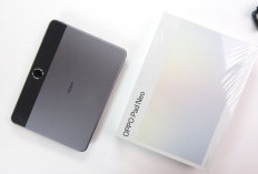 OPPO Pad Neo Tablet Multitasking Layar 2.4K dan Dolby Atmos dengan Harga yang Terjangkau!