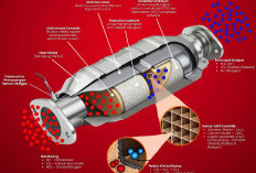 Awas, Beli Mobil Bekas Tapi Tidak Ngecek Area Kolong, Catalytic Converter Logam Mulia Lebih Mahal Dari Emas