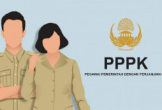 Benarkah Gaji PPPK Paruh Waktu Dibawah UMK? Bikin Honorer Gelisah Bertentangan Arahan Pemerintah
