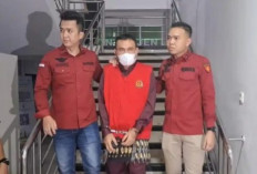 Dituntut 1,5 Tahun Penjara, Kuasa Hukum Terdakwa Korupsi Jual Kawasan Hutan Berharap Hukuman Berkeadilan