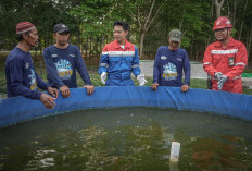 Rawat Alam di Tengah Aktivitas Industri, Kilang Plaju Konsisten Lestarikan Keanekaragaman Hayati