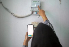 PLN Mobile Bikin Hidup Lebih Mudah dan Transparan, Estimasi Biaya Listrik Tinggal Klik