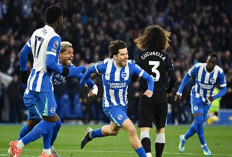 Liga Inggris - Si Burung Camar Patuk Singa Biru 3-0