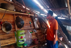 Hujan Deras Semalaman Listrik Padam, Pria di Palembang Berjibaku Selamatkan Nyawa Saat Rumah Dihanta Tongkang 