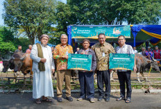 PT Pusri Palembang Salurkan 60 Hewan Kurban Menjelang Idul Adha 1446 H ke Kampung Sehati