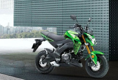 Kawasaki Z125 PRO SE Usung Suspensi Upside Down, Mini Naked Bike dengan DNA Sporty Z Series