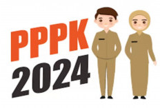 MenPANRB Rilis Jadwal PPPK Paruh Waktu, Honorer R4 Dapat Kesempatan Jadi ASN