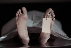 Suami Habisi Istri di Sako Palembang Ngaku Dapat Bisikan, Tapi Tetangga Sebut Ada Cekcok 