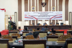 Perjalanan Dinas 45 Anggota DPRD Banyuasin Tidak Kena Efisensi?