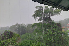 BMKG Prakirakan Hujan Ringan hingga Sedang Guyur 17 Daerah di Sumsel, Warga Diminta Waspada Pada 30-31 Januari