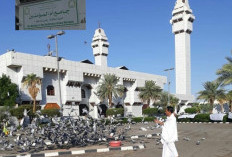 Jelang Puncak Haji, Jemaah Calon Haji Indonesia Padati Masjid Tan’im untuk Umrah Sunah