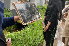 5 Rekomendasi Jurusan Kuliah yang Cocok dengan Kepribadian Ekstrovert: Energi Sosial Makin Full di Kampus!